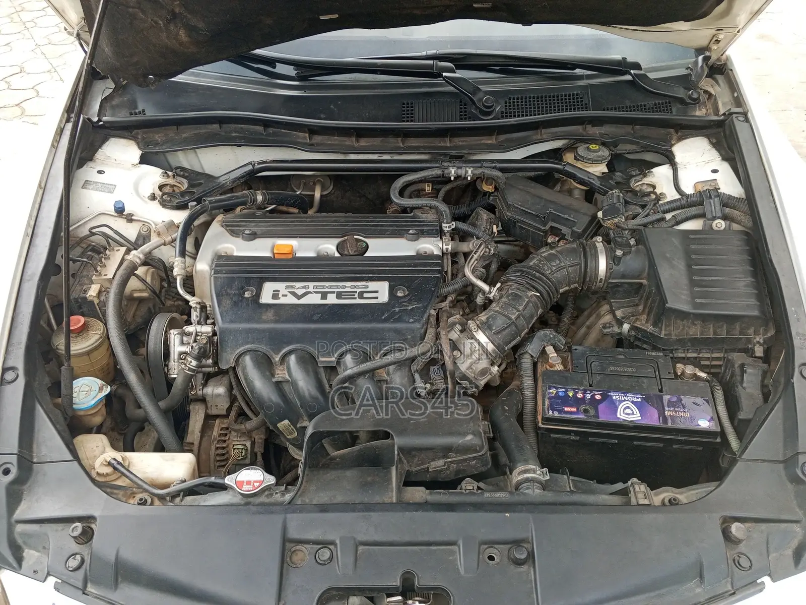 Honda Accord 2009 White