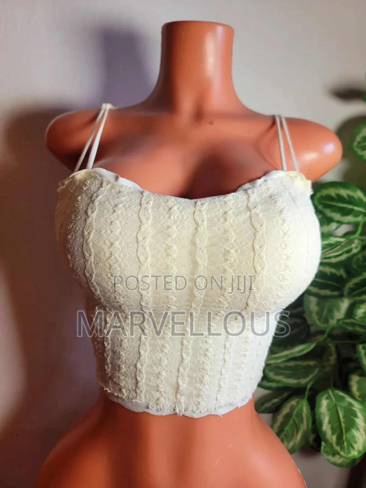 Bralettes and Singlet