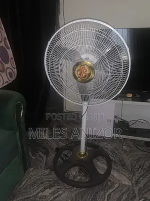 Very Good Working Standing Fan