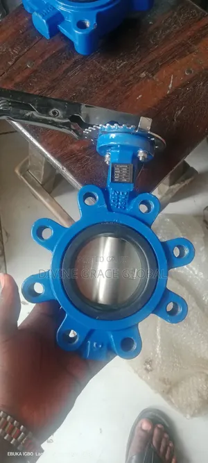 8 Hool 3inches Butterfly Valve
