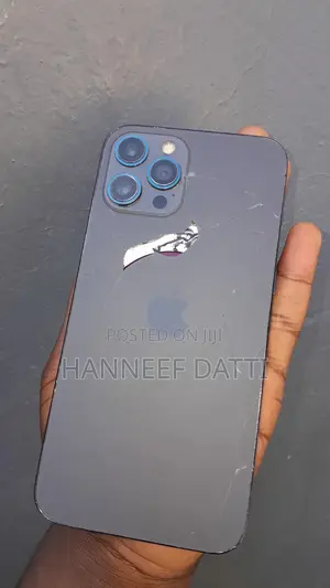 Apple iPhone 12 Pro Max 128 GB Gray