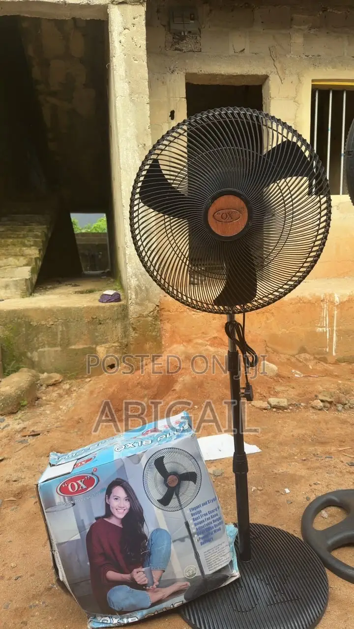 Standing Fan