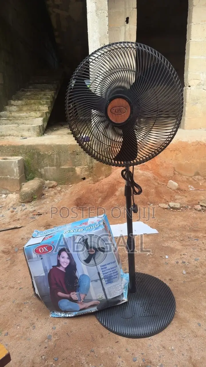 Standing Fan