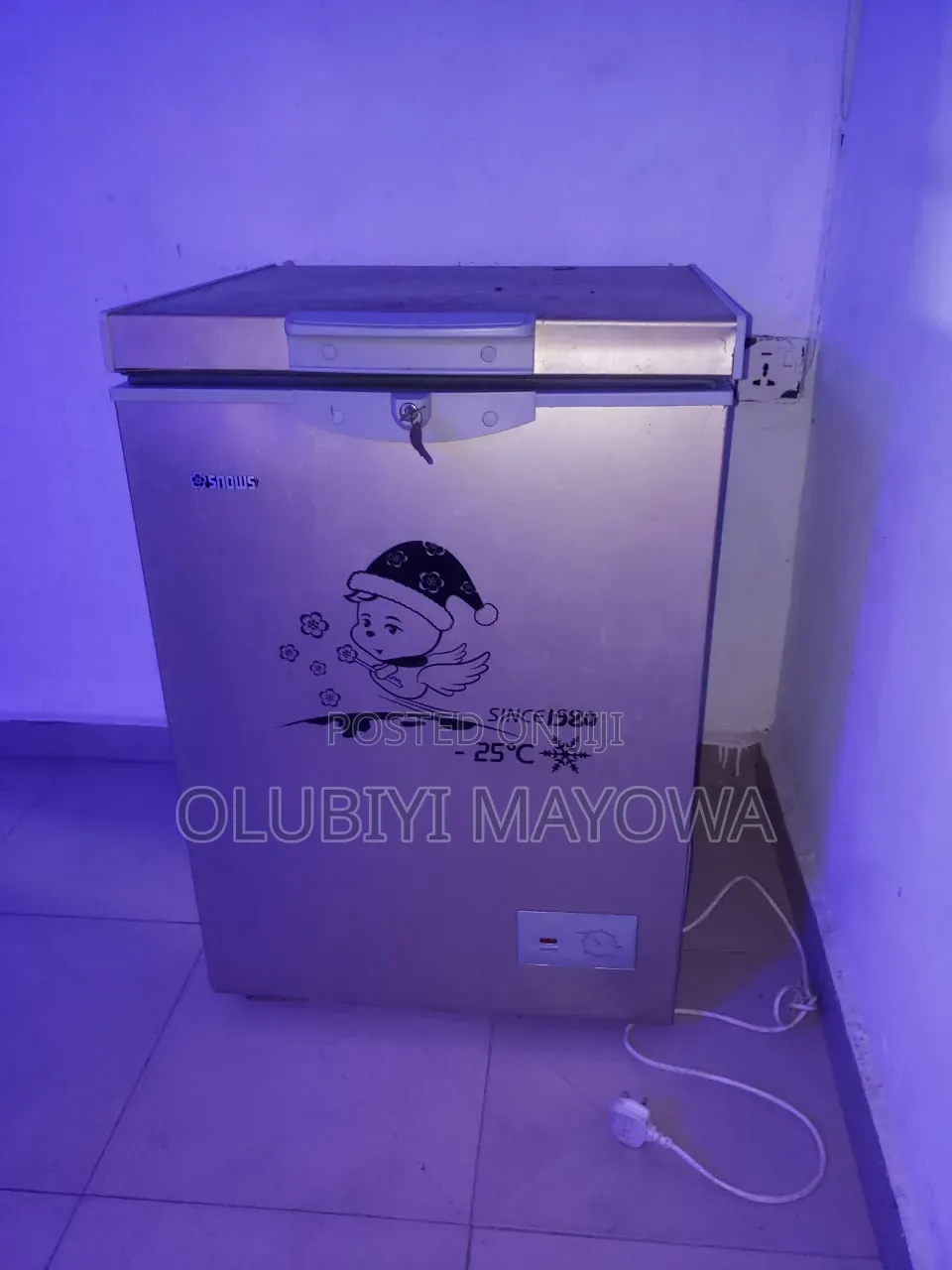Snowsea Freezer