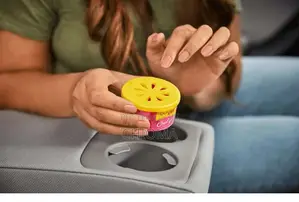 California Scents Cool Gel Ice Scent -for Small Places and Cars