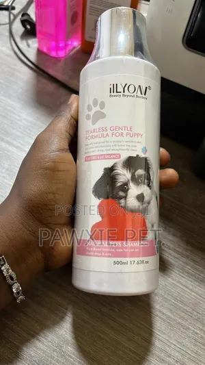 Ilyonv Antibacterial and Itching Shampoo for Dogs and Cats