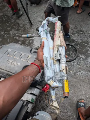Roof Airbag Rx350 2017/2020 Model
