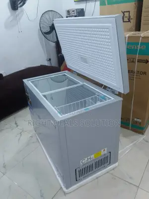 Nexus Business Storage Freezer