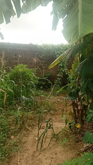 25 Feet by 80 Feet in a Secured Estate at Elliot Ishaga Ifako Ijaiye