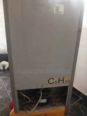 Skyrun Fridge With Top Freezer