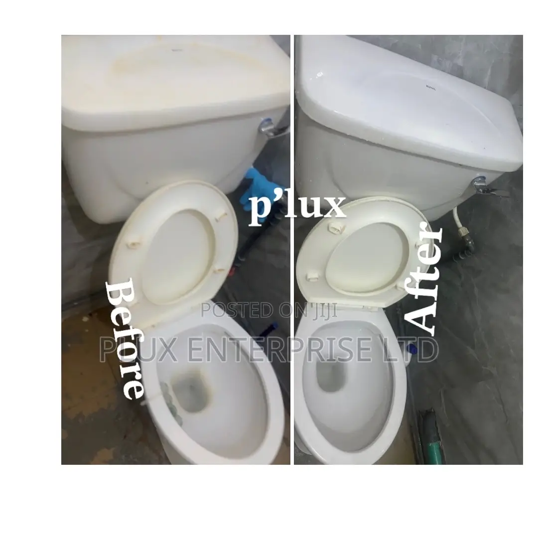 Cleaning and Fumigation Service