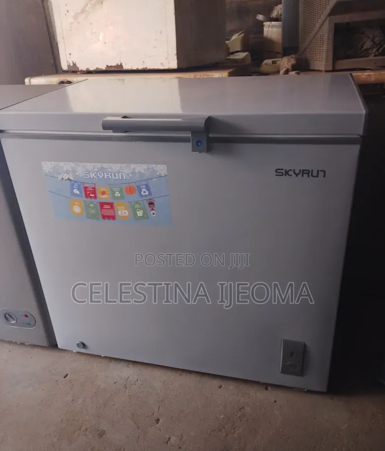 Skyrun Freezer 200l