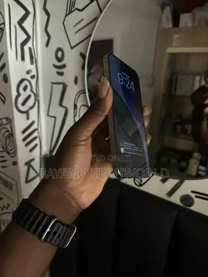 Apple iPhone 15 Pro Max 256 GB Gray