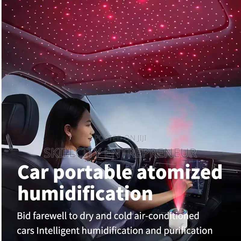 Starry Sky Humidifier And Aroma Diffuser