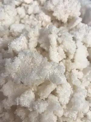 Fresh and Neat Tapioca Is Available