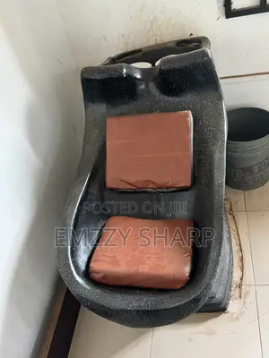 Hair Wash Basin