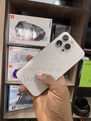 Apple iPhone 15 Pro Max 256 GB Silver