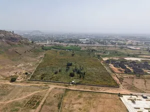 Abuja Sales