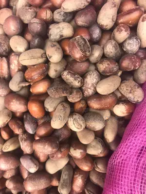 Local Nutmeg Is Available