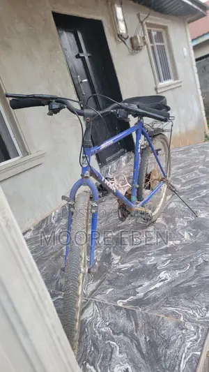 Buy and Enjoy Your Riding