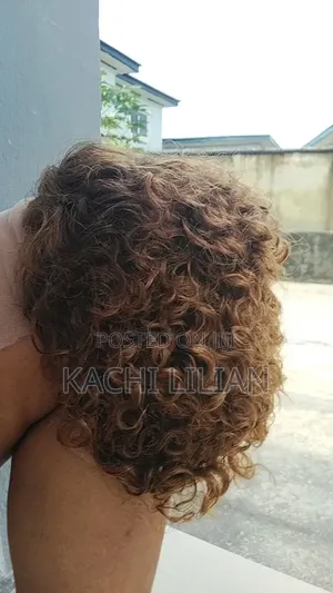 Human Hair Wig