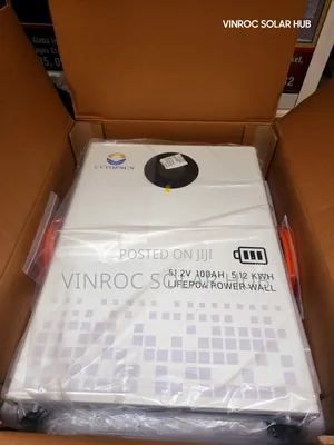 Lvtopsun Lithium Battery