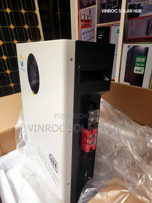 Lvtopsun Lithium Battery
