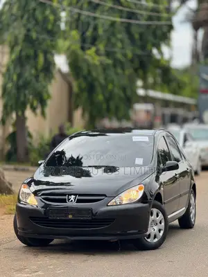 Peugeot 307 2007 Black