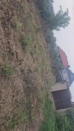 2 Plots of Land