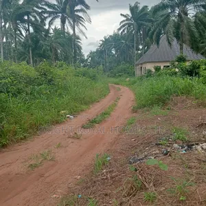 2 Plots at Orogwe