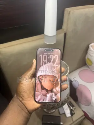 Apple iPhone 16 Pro Max 256 GB Gray