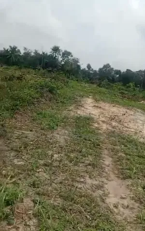 Dry Table Land of 700 Acres for Sale at Adeje Sapele Road, Okpe Lga