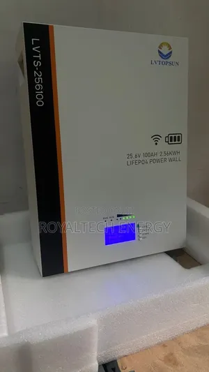 Lvtopsun 2.56kwh 25.6v Lithium Batteries