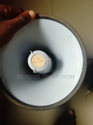Megaphone....