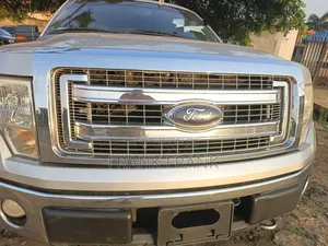 Ford F-150 2013 Silver