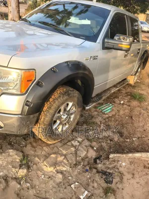 Ford F-150 2013 Silver