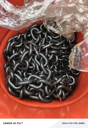 Lifting Chain