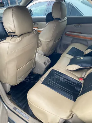 Lexus RX 2008 Blue