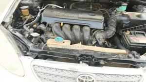Toyota Corolla 2007 Silver