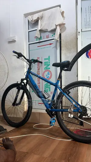 Apollo Phaze Mens Mountain Bike - Blue