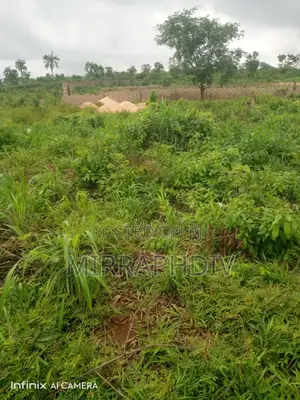 Land at Ogbeke Nike for Sale.