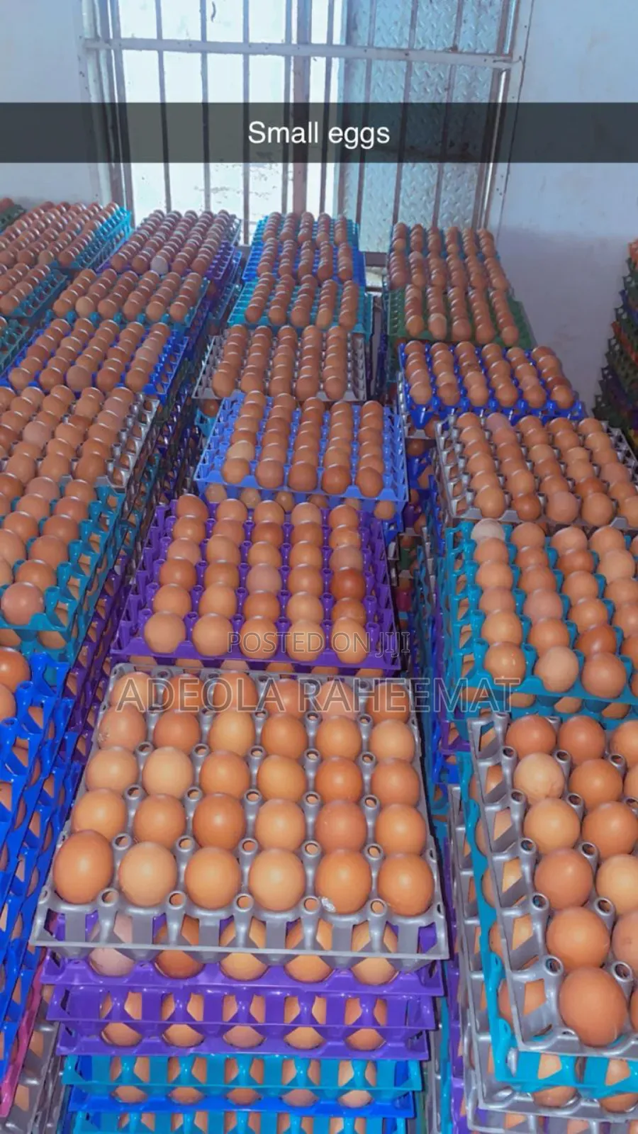 Fresh Farm Eggs