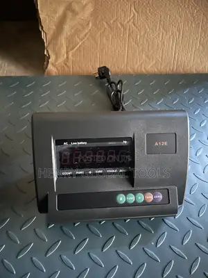 3000kg 120cm X 120cm Pallet Heavy Duty Platform Digital Scale