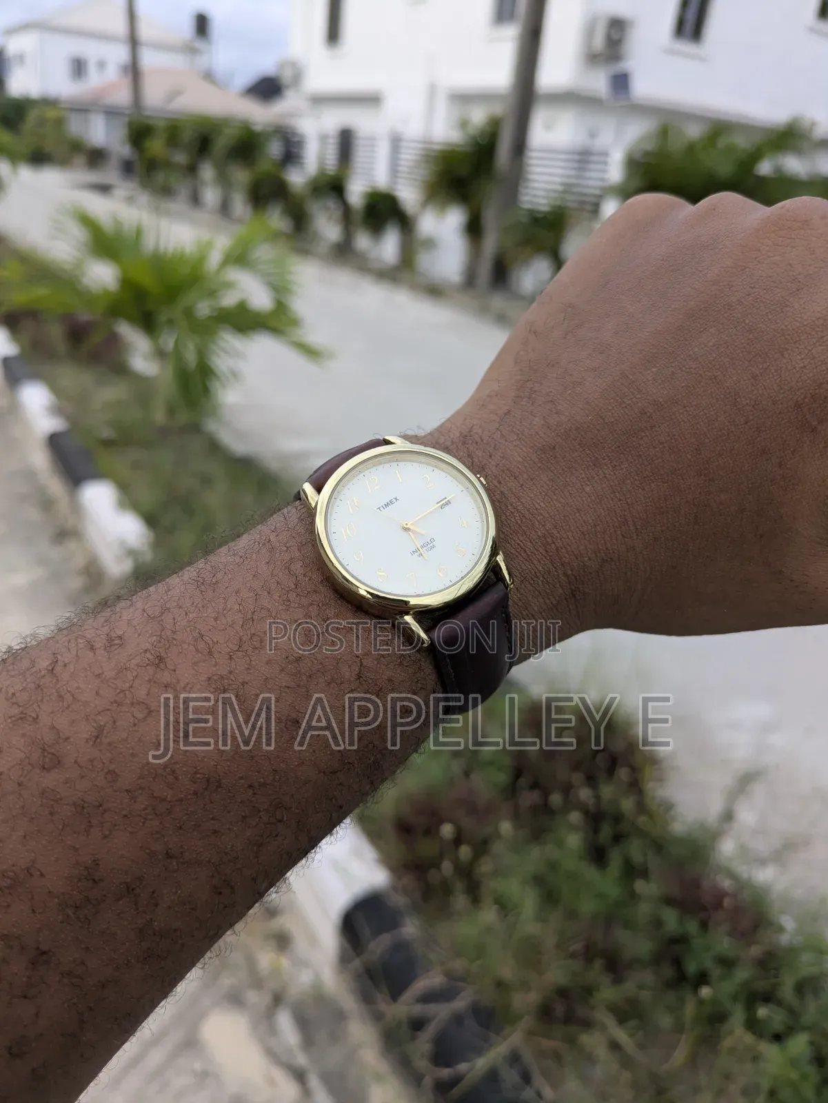 Imported Luxury Timex Indiglo