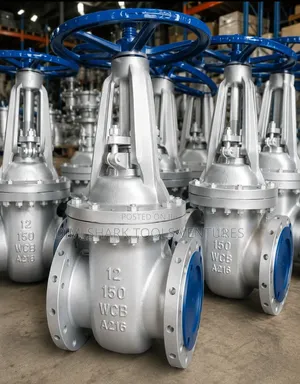 12-"Inch Class 150 Gate Valves WCB Cast Carbon Steel.
