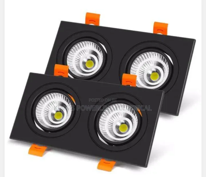 Double Retractable Light