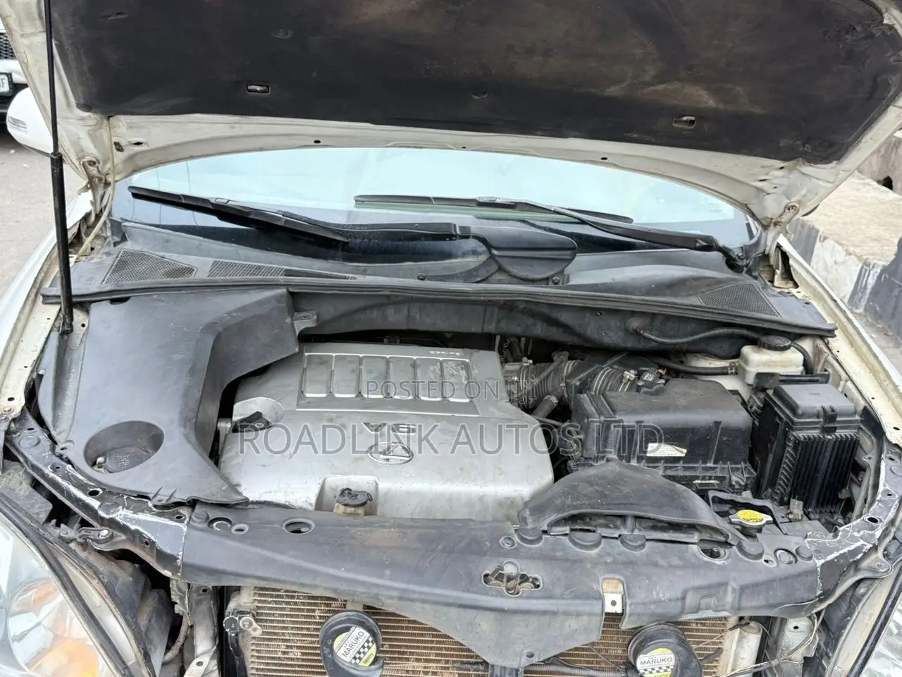 Lexus RX 2006 White