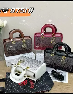 Ladies High Quality Dior Bag