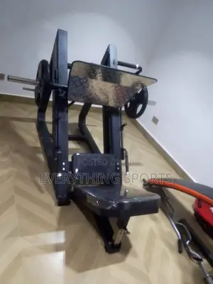 Big Commercial American Leg Press