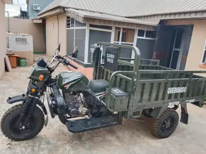New Tricycle 2025 Green
